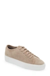 COMMON PROJECTS TOURNAMENT GENUINE SHEARLING LINED LOW TOP SNEAKER