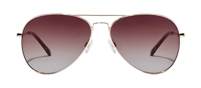 Hawkers Hawk Hhaw22dwmp Dwmp Aviator Polarized Sunglasses In Brown