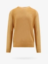 Etro Sweater In Yellow