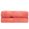 Superior Contemporary Quick-drying Zero-twist Cotton 2-piece Bath Sheet Set