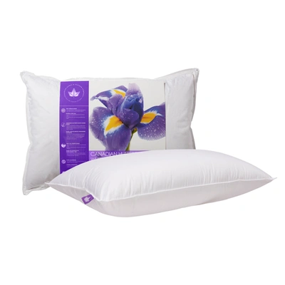 Canadian Down & Feather Company Hutterite Goose Down Pillow Soft Support In White