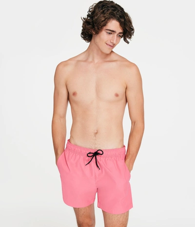 Aéropostale Beach Chino Shorts 7.5" In Pink