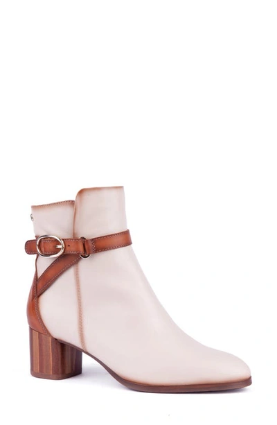 Pikolinos Calafat Buckle Bootie In Marfil