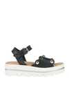 Carlo Pazolini Woman Sandals Black Size 6 Soft Leather In Black