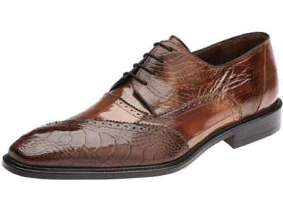 Pre-owned Belvedere Shoes Nino Antique Camel Genuine Ostrich Soft Leather Eel Leg 0b4 In Beige