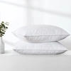 PUREDOWN PEACE NEST 2PCS 5% WHITE GOOSE DOWN FEATHER PILLOW SOFT BED PILLOWS