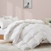 PUREDOWN MADE IN GERMANY 800 FILL POWER 90% DOWN FILL EUROPEAN WHITE GOOSE DOWN COMFORTER - EXTRA WARM