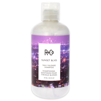 R + Co Sunset Blvd Blonde Shampoo By R+co For Unisex - 8.5 oz Shampoo