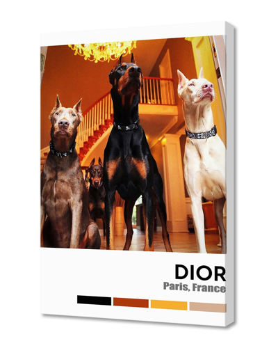 Curioos Gold Doberman Dogs ,hypebeast Luxury Fashion By Viicd - Darren Lou Wall Art