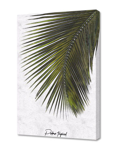 CURIOOS PALMA TROPICAL BY XCHANGE ART STUDIO BY ORI CORDERO WALL ART