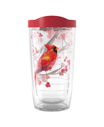 Tervis Tumbler Tervis Holiday Cardinal And Berry Branches Made In Usa Double Walled Insulated Tumbler Travel Cup Ke In Open Miscellaneous