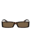 Dolce & Gabbana 55mm Polarized Rectangular Sunglasses In Havana