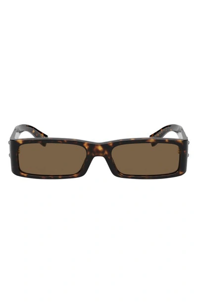 Dolce & Gabbana 55mm Polarized Rectangular Sunglasses In Havana