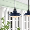 Jonathan Y Jasper 12.25" 1-light Farmhouse Industrial Indoor/outdoor Iron Led Pendant