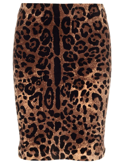 Dolce & Gabbana Leopard-print Cotton-blend Chenille Mini Skirt In Brown