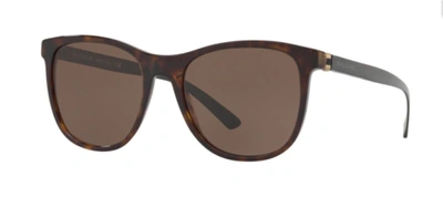 Pre-owned Bvlgari Authentic  Bv7031f-504/73 Sunglasses Dark Havana W/ Brown Lensnew 55 Mm