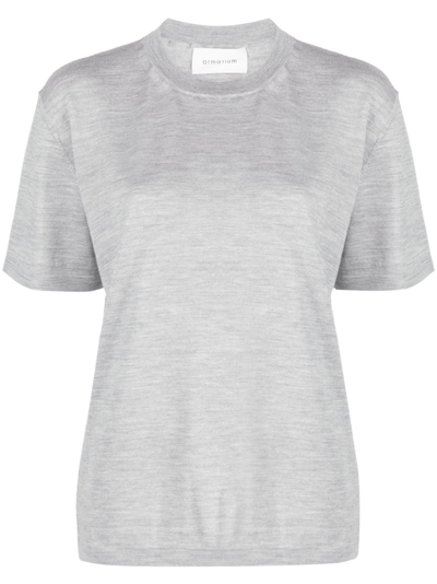 Armarium Viky Wool And Silk Short-sleeved Top In Grey