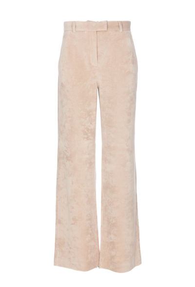 Circolo 1901 Woman Pants Beige Size 8 Cotton, Polyester