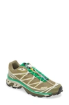 Salomon Xt-6 Sneaker In Dried Herb/deep Lichen Green/bright Green