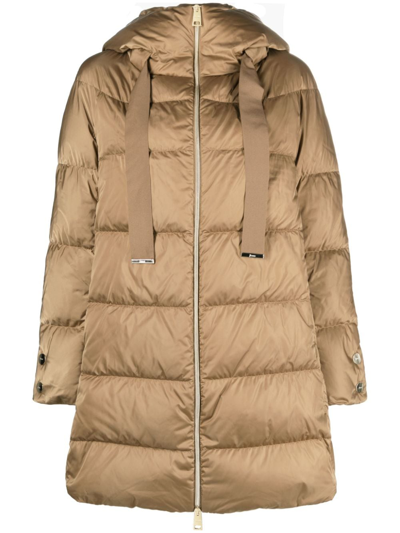 Herno Hooded Feather-down Padded Coat In Brown