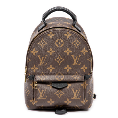 Pre-owned Louis Vuitton Mini Palm Springs In Brown