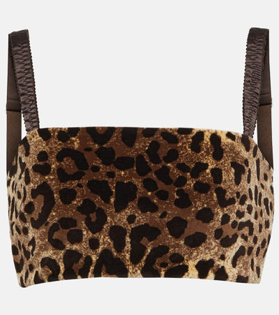 Dolce & Gabbana Leopard-print Velvet Crop Top In Beige,brown,black