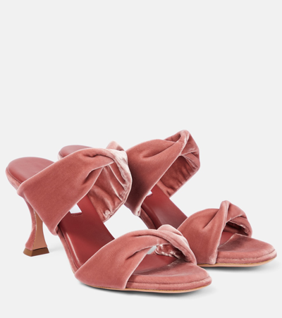 Aquazzura Twist 95 Velvet Mules In Pink