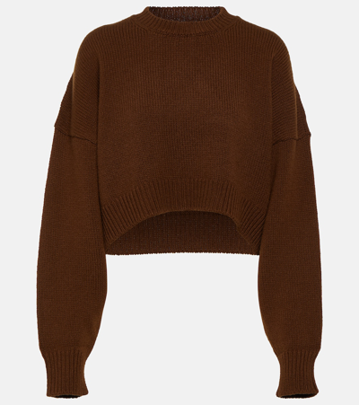 Dolce & Gabbana Guanako And Cashmere Sweater In Brown