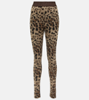 Dolce & Gabbana Logo-waistband Leopard-print Leggings In Multicoloured