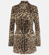 Dolce & Gabbana Leopard-print Double-breasted Blazer In Multicoloured