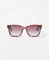 Ann Taylor Square Butterfly Sunglasses In Brown Multi