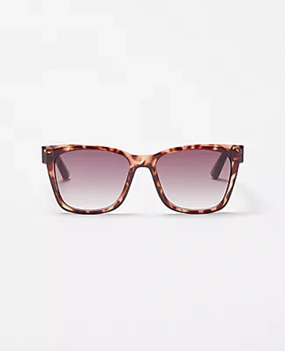 Ann Taylor Square Butterfly Sunglasses In Brown Multi