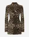 Dolce & Gabbana Leopard-print Double-breasted Blazer In Multicolor