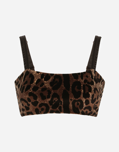 Dolce & Gabbana Chenille Crop Top With Jacquard Leopard Design In Brown