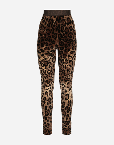 DOLCE & GABBANA CHENILLE LEGGINGS WITH JACQUARD LEOPARD DESIGN