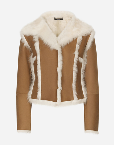 Dolce & Gabbana Short Shearling Jacket In Beige