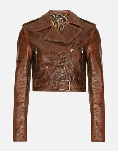 Dolce & Gabbana Coated Cotton Faux Leather Biker Jacket In Brown