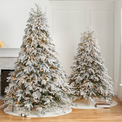 Frontgate Frosted Canterbury Fir Tree