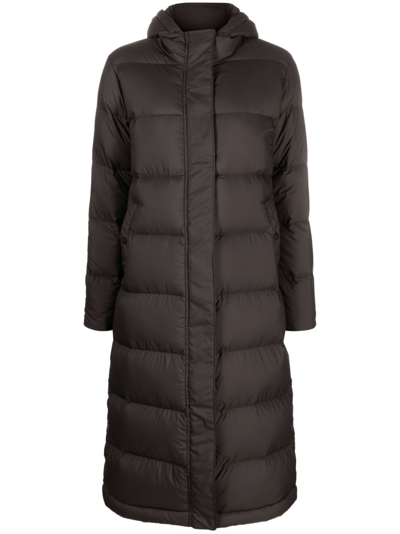 Patagonia Padded Hooded Coat In Schwarz