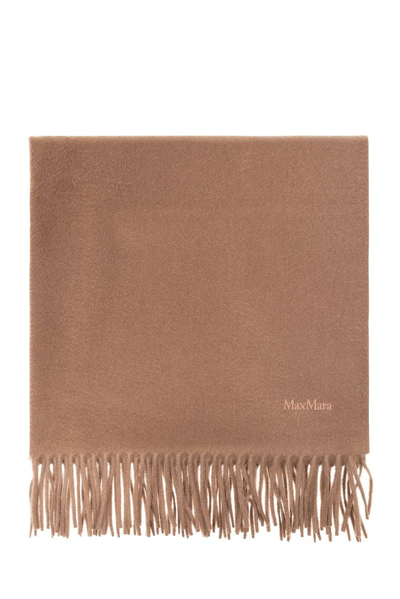 Max Mara Logo Embroidered Fringed Edge Scarf In Brown