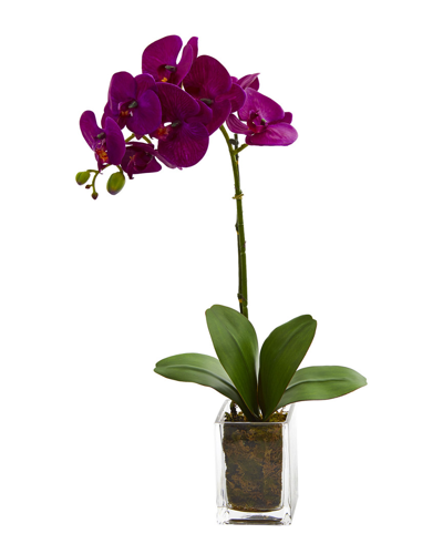 Nearly Natural Orchid Phalaenopsis Artificial Arrangement In Vase In Pink