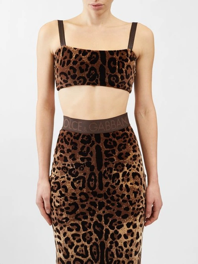 Dolce & Gabbana Leopard-print Sleeveless Crop Top In Multicolor