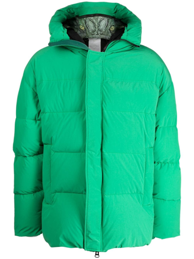 Doublet Padded Animal Motif-hoodie Jacket In Grün