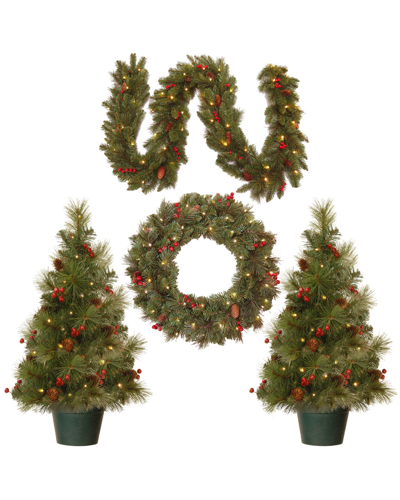 National Tree Company Two Entrance Trees