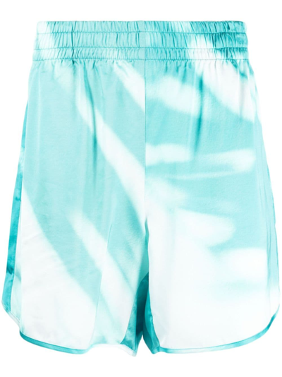 Blue Sky Inn Graphic-print Deck Shorts In Blue