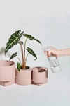 Tortuga Forma Concrete Terrazzo Planter - Set Of 2 In Coral At Urban Outfitters In Pink