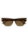 Bottega Veneta Acetate Cat-eye Sunglasses In Brown