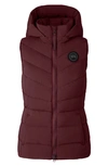 Canada Goose Clair 750 Fill Power Down Vest In Red