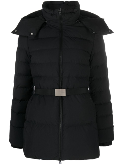 BURBERRY BELTED HOODED PADDED JACKET