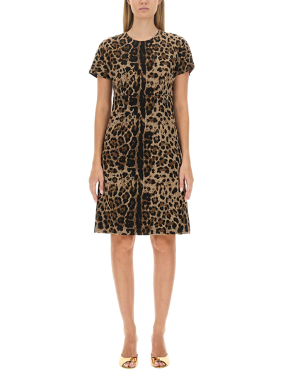 Dolce & Gabbana Leopard Print Midi Dress In Brown